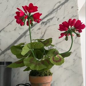 Paper Geranium in Crimson